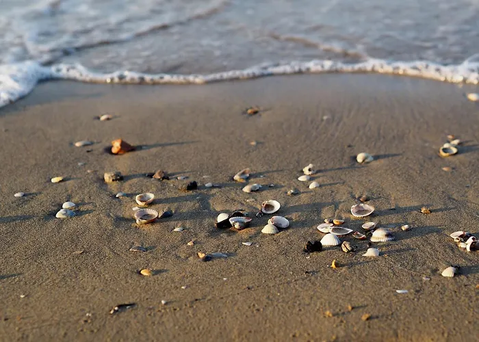 With Private Garden And Barbeque - Beahost Appartamento