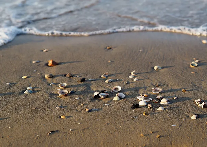 아파트 With Private Garden And Barbeque - Beahost 비비오네